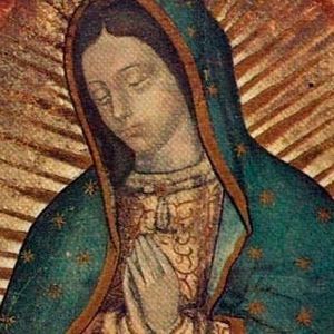 Meet your Posher, Yudith